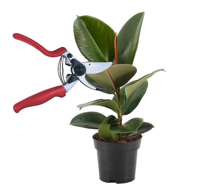 Есть и другой способ!