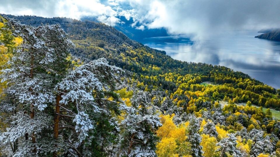    Окрестности Телецкого озера, сентябрь 2024. Источник: Роман Воробьев и Татьяна Клименко.