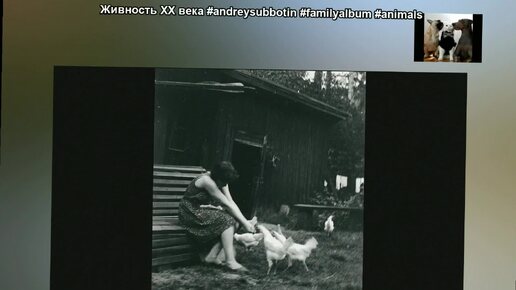 Живность хх века #andreysubbotin #familyalbum #animals