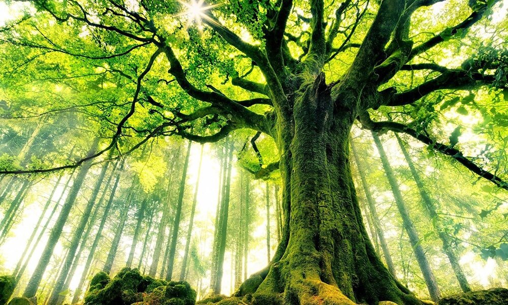 Открой секреты эффективного саморазвития! Узнай, как простые шаги могут изменить твою жизнь к лучшему. Читай наш гид и начни свой путь к успеху сегодня!