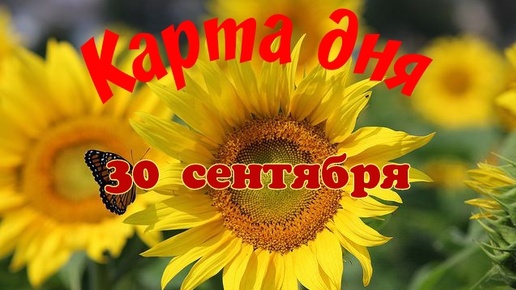 Карта дня🍁30 сентября🌞 Пасьянс. Тайм-код в описании🦢