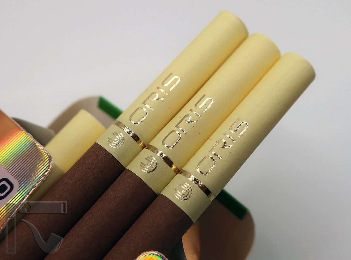 what are the health effects of smoking cigarettes Health Effects of Cigarette Smoking 🚬