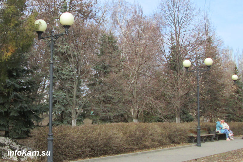    Еловая аллея парка с окаймлением прогулочной части бордюрным кустарником бирючиной