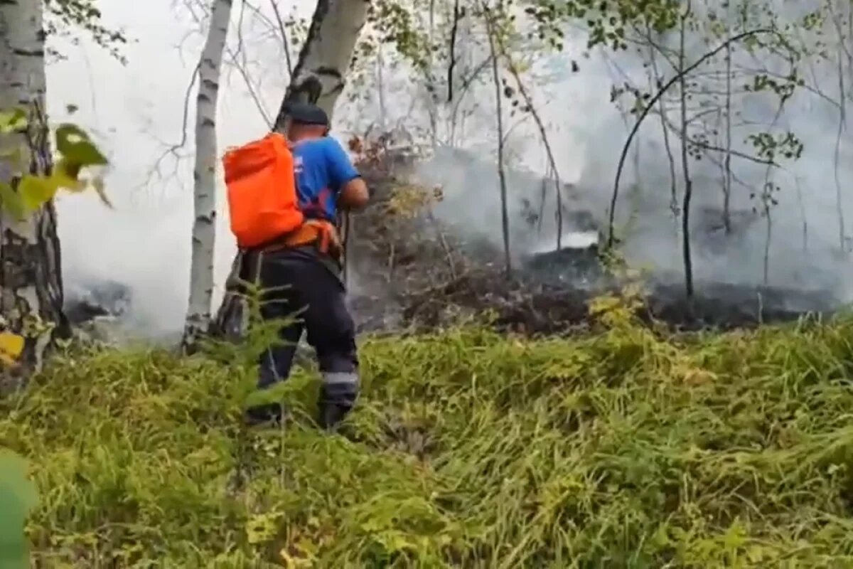    Три лесных пожара за сутки зафиксировали в Нижегородской области