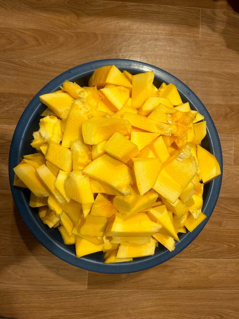 Тыква победитель послужит удобрением для новой тыквы будущего сезона. И это - нормально