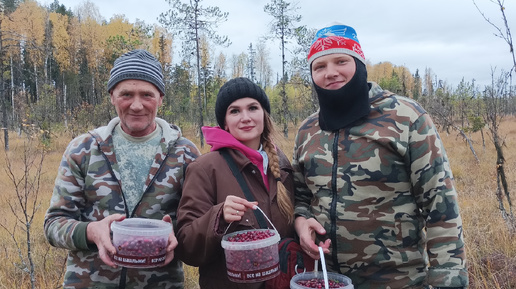 Поездка на каракате с пилой в лес за брусникой и клюквой.