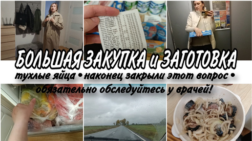 ✅БОЛЬШАЯ ЗАКУПКА ПРОДУКТОВ 🍆🥒🍅 ЗАГОТОВКИ ВПРОК🍱ДОМАШНИЕ БУДНИ 🏡🪴