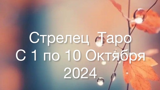 СТРЕЛЕЦ Таро с 1 по 10 Октября 2024