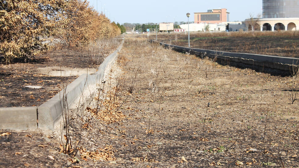 Некогда асфальтированную аллею срыли до основания.📷Фото: Дмитрий Михеенко
