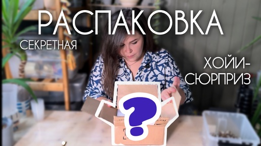 РАСПАКОВКА | коробка с СЮРПРИЗОМ | ХОЙИ не глядя