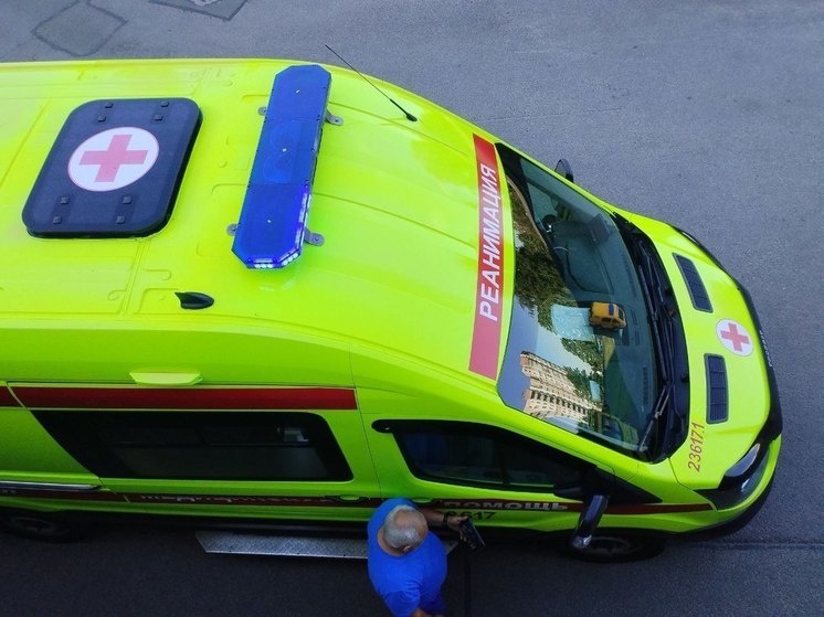     Фото: «МК в Ленобласти»