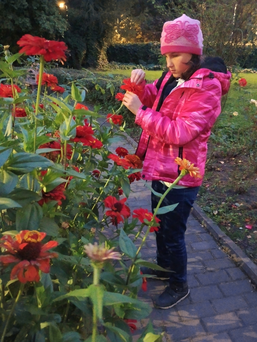 В школьном саду
