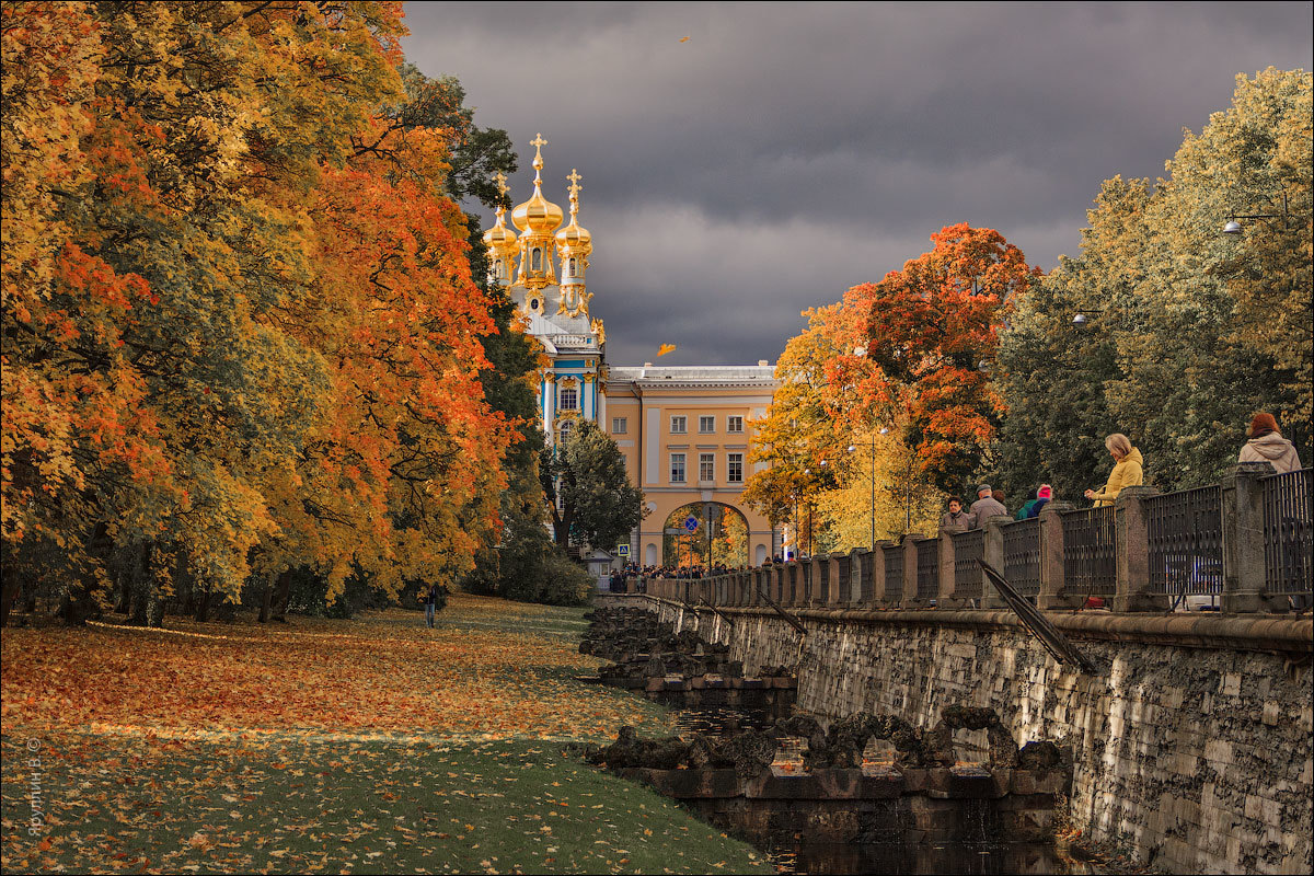 Фото из открытого источника/С.Петербург