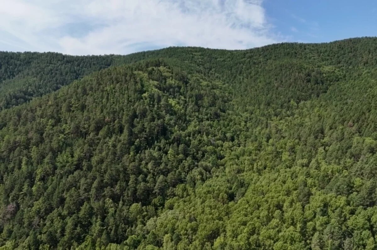    В Башкирии спасатели вывели из леса заблудившихся женщин с детьми