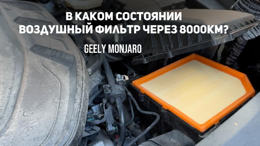 Очередная замена воздушного фильтра. 8000км - какое состояние? Замена на Джили Монжаро/ Geely Monjaro