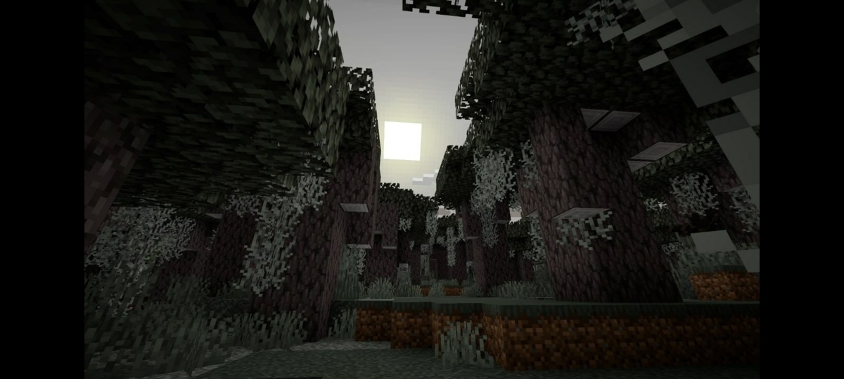 Бледный сад.