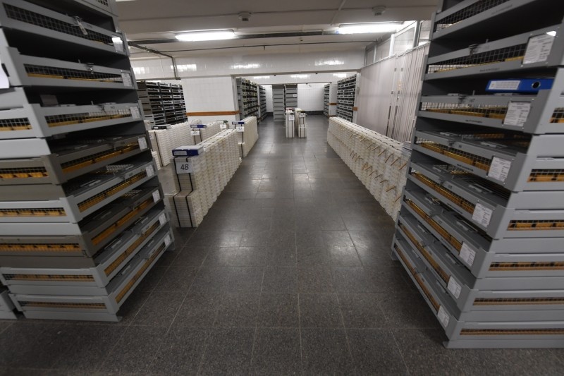 ФОТО: KOMSOMOLSKAYA PRAVDA/GLOBAL LOOK PRESS