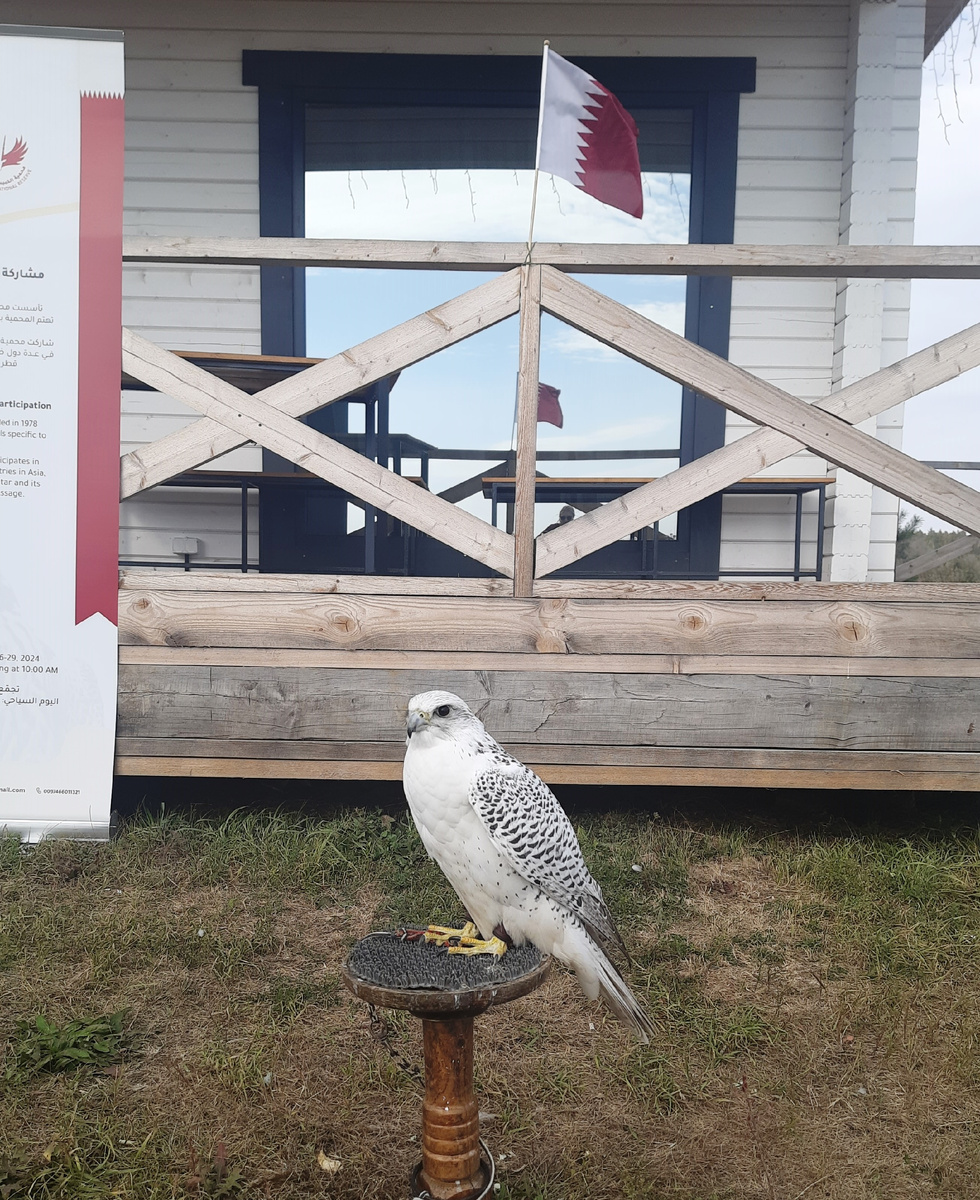 "Спортсмен" из Катара