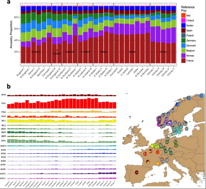 а - профили европейского происхождения 30 ирландских и британских кластеров; б - вклад предков из 19 европейских кластеров, которые обусловили не менее 2,5% генотипа каждого из 30 ирландских и британских кластеров; справа - то же самое на карте Европы.