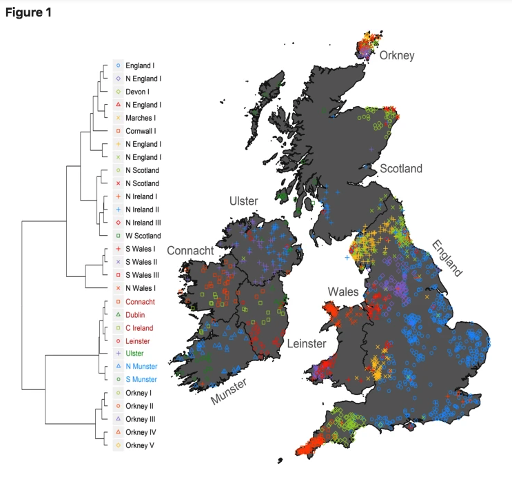 Дендрограмма сходства популяций ирландского и британского происхождения исключительно на основе генетики. Справа  полученные кластеры вынесены на карту