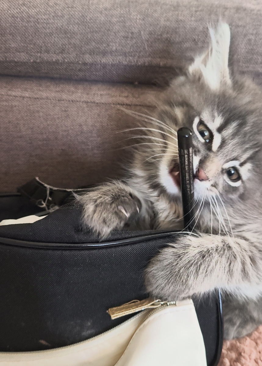 Все фотографии в статье авторские. Бася. 