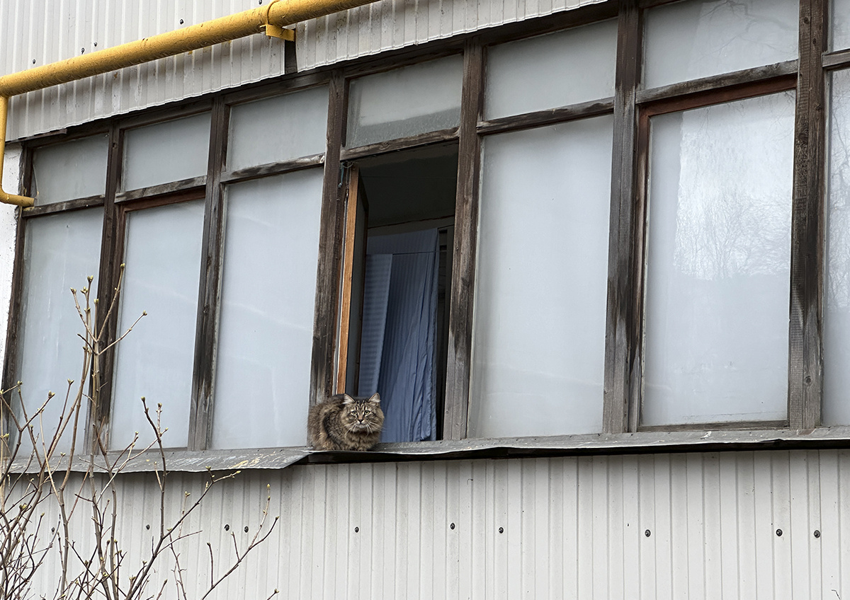    Жителей дома на юго-востоке Москвы ночью разбудили непонятные звуки