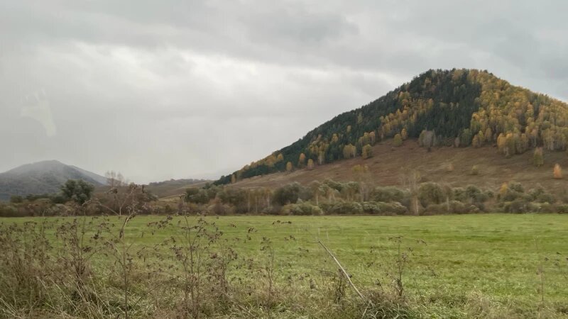     Как Солонешенский район охватила осень. Екатерина Карзова