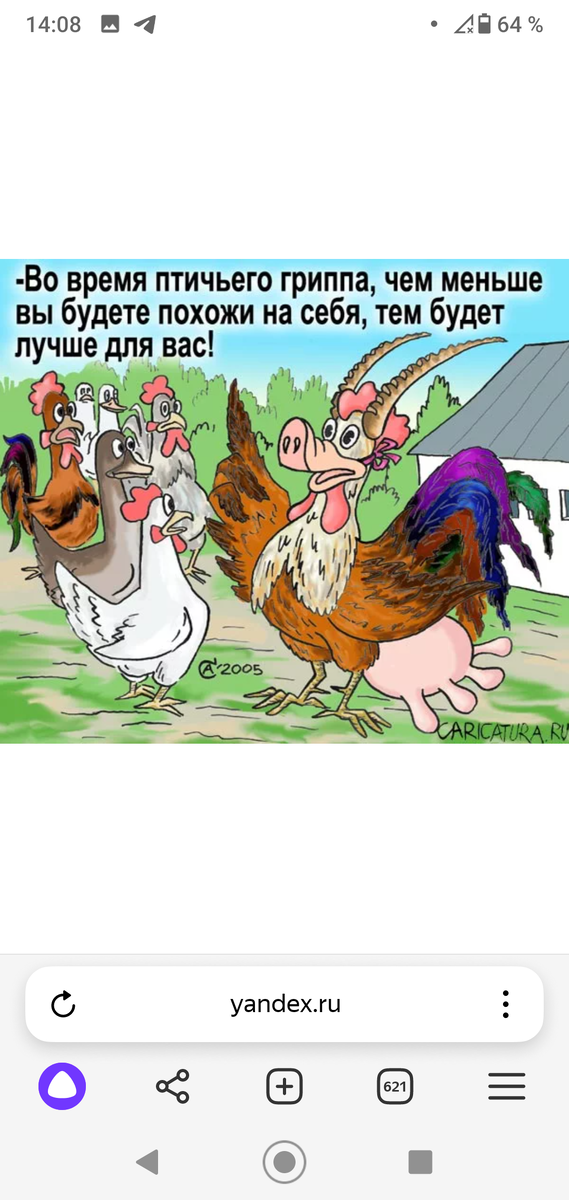 Поросякозакорова 