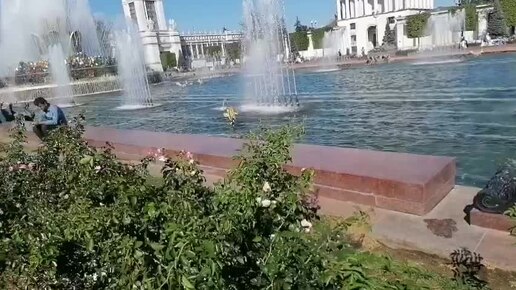 ВДНХ г. Москва