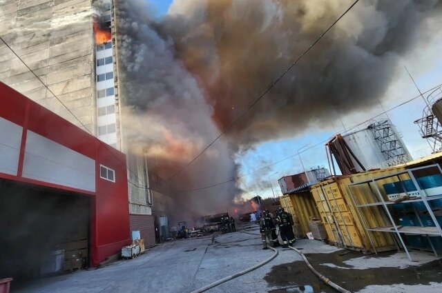    Едкий дым распространился по всему городу. Фото:  АиФ