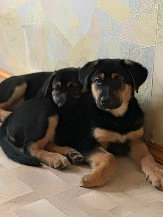 Мамины сын и дочь, пока без имен)