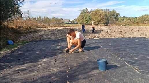 Один осенний день в деревне/Сажаем чеснок под зиму на спанбонд/ Дом в деревне