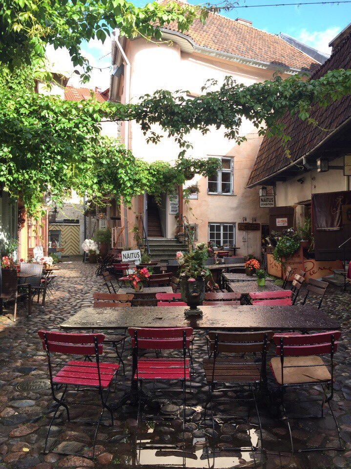 Фото из интернета