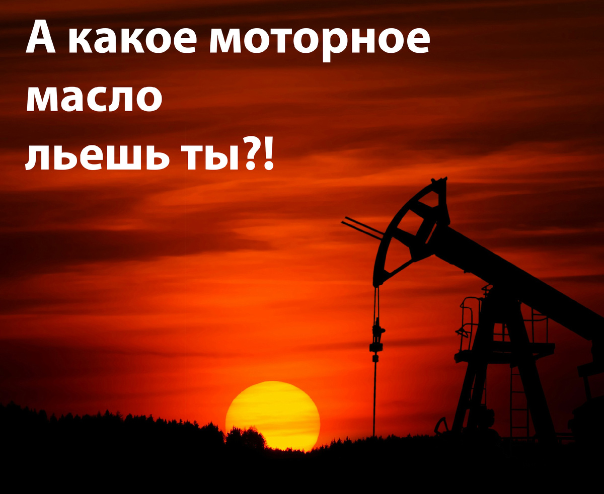 Фото взято из открытых источников интернета