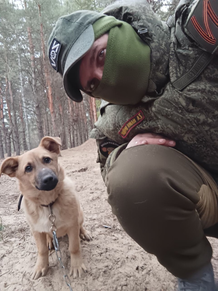 Надежда ни мир в этих бездонных глазах. Фото из свободных источников