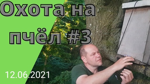 ОХОТА НА ПЧЕЛ # 3