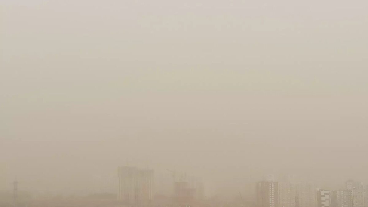     Источник: rostovgazeta.ru