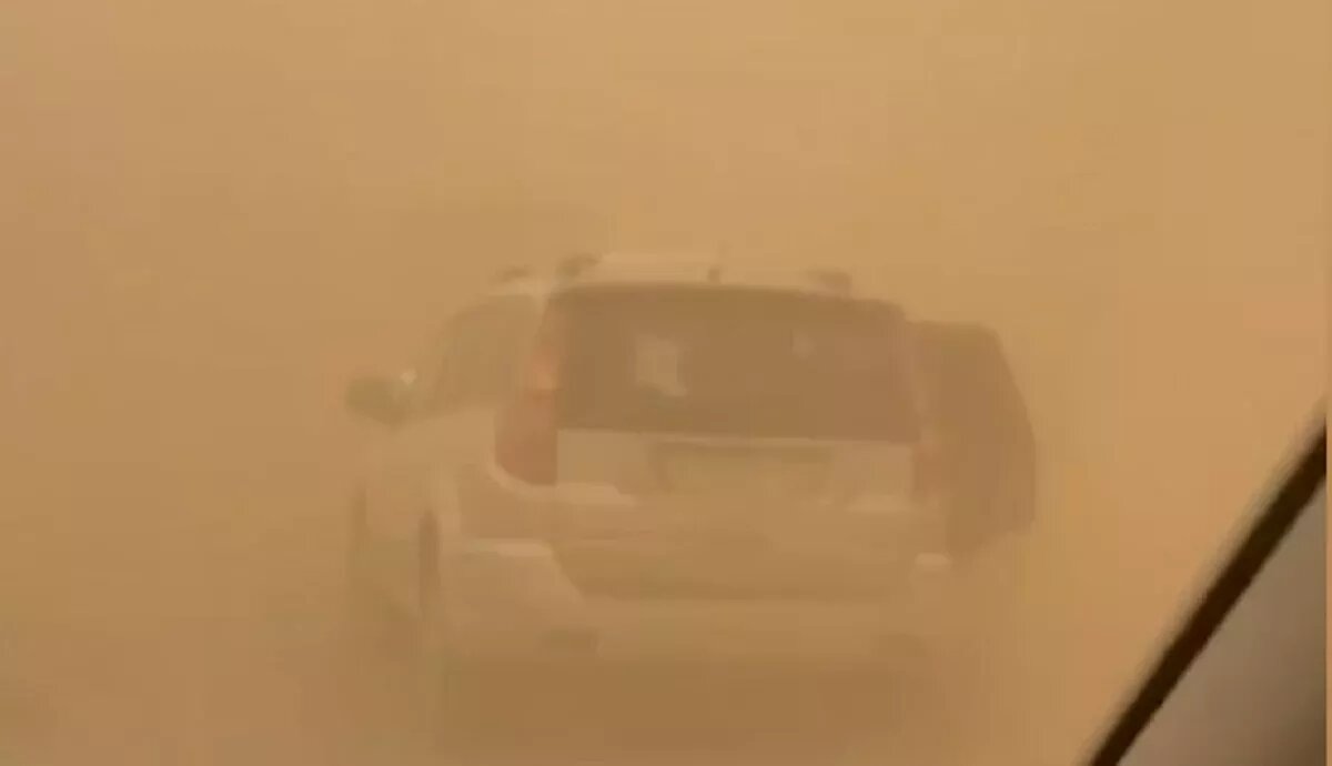 Скрин с видео. 