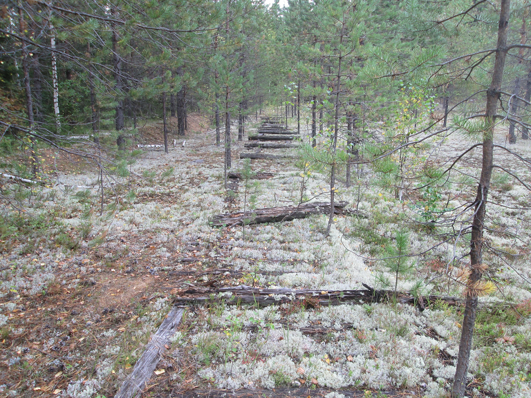 Что это такое - расскажу попозже