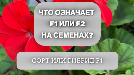 Что означает f1 или f2 на упаковках с семенами?