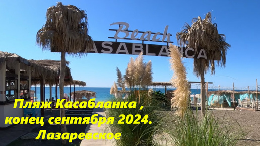 Пляж Касабланка, 29 сентября 2024. Лазаревское 2024.