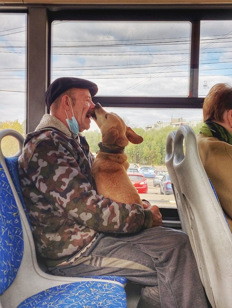 Успел сфотографировать)