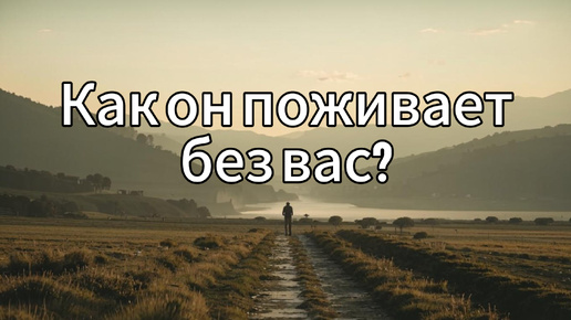 Как он поживает без вас? ТАРО