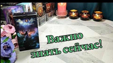 Download Video: Что срочно важно знать сейчас⚔️🛡️таро