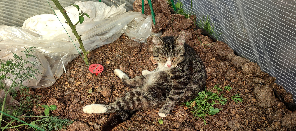 Это мой сегодняшний помощник 😊