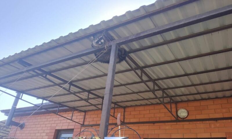    Фото t.me/gorodbelorechensk