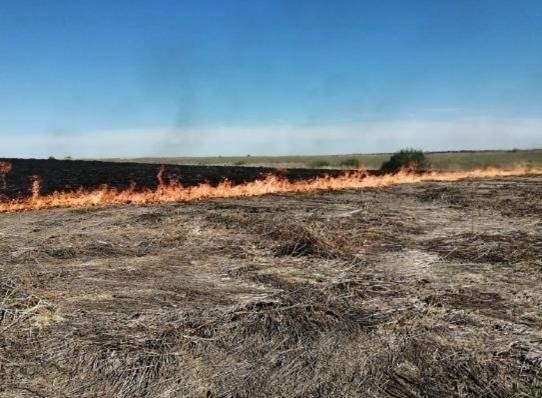    Фото с сайта ГУ МЧС по Рязанской области