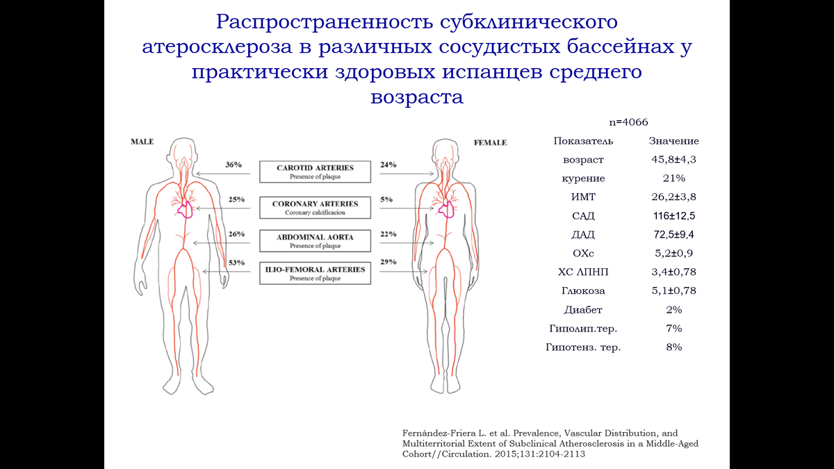 Видно, что у мужчин атеросклероз артерий ног встречался практически у половины, у женщин - немного не достиг 1/3. В то же время у женщин в разы реже встречался атеросклероз коронарных артерий. Насколько "нормальным" был набор факторов риска у этих испанцев - видно по числам в правой части рисунка: средний возраст 46 лет, курили лишь 21%, холестерин ЛПНП 3,4 ммоль/л - как у нас на Дзене говорят, "нормальный" (на деле же - не такой уж оптимальный), диабет - весьма редко, лишь у 2%, среднее АД 116/73 мм рт ст. То есть вполне сносные показатели, говорящие о хорошем состоянии здоровья в выборке