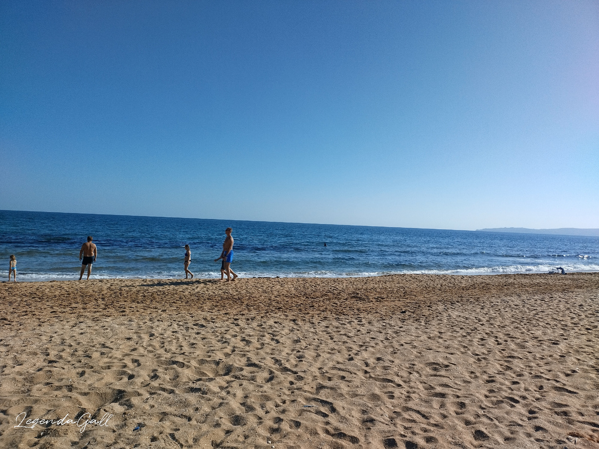 Гуляют все!