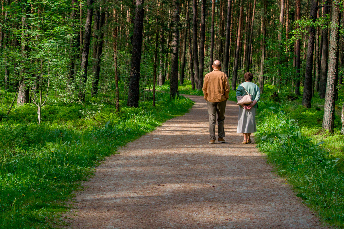    Фото: Andrzej Sliwinski / Shutterstock.com